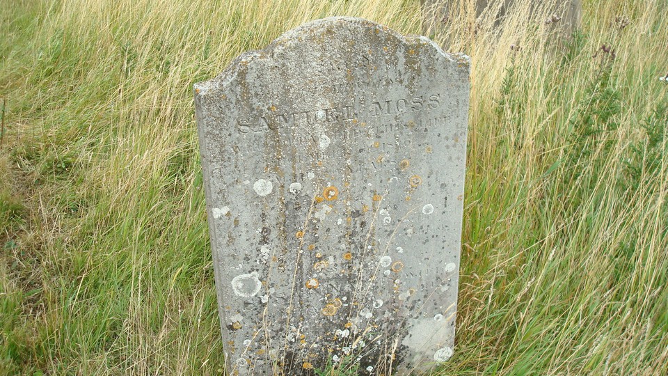 photo of grave for Samuel Moss